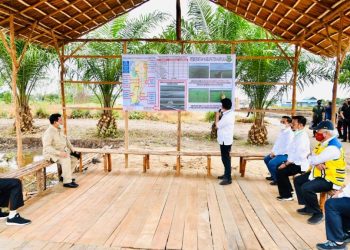Presiden Tinjau Lokasi Pengembangan Lumbung Pangan Nasional di Kabupaten Kapuas