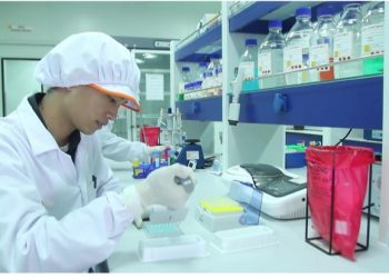 Daewoong Kantongi Izin Uji Klinis Penyedia Perawatan Covid-19 Berbasis Stem Cell Pertama Di Indonesia