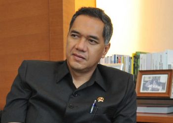 Gita Wirjawan: Media Siber Profesional Dibutuhkan di Era Pandemik