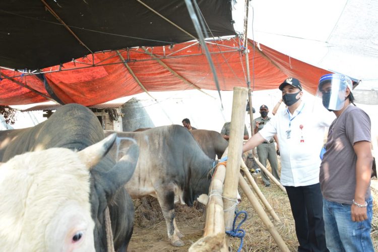 Bupati Tangerang Zaki Iskandar cek lapak hewan kurban. (RAY)