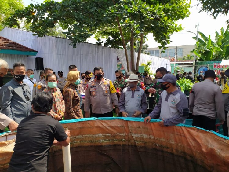 Budidaya lele di Kampung Jawara, Serpong Utara, Tangsel. (PHD)