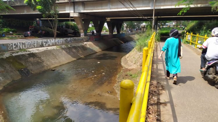 Lokasi remaja dililit ular sanca di Serpong, Tangsel. (PHD)