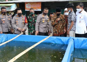Wabup Dampingi Kapolda Tinjau Kampung Tangguh Pasar Kemis