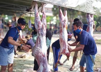 Masjid Ar-Rahmah PPI Bogor Gelar Salat Idul Adha & Pemotongan Hewan Kurban