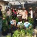 Polrestro Tangerang Kota Gerebek Kebun Ganja Dalam Rumah di Karang Tengah