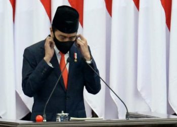 Pemerintah Upayakan Perluasan Basis Pajak dan Optimalkan PNBP pada Tahun 2021