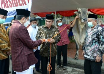 Presiden Jokowi Serahkan Hewan Kurban di Masjid Istiqlal