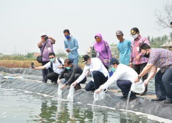 Bupati Zaki: Kawasan Aqua Culture Tingkatkan Perekonomian Masyarakat