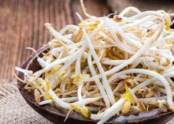 Makan Taoge Bikin Pria Lebih Subur, Fakta atau Mitos?