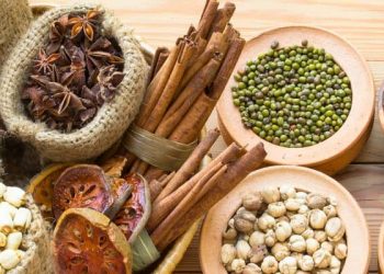 8 Obat Alami dan Tanaman Herbal yang Bermanfaat untuk Pengidap Diabetes