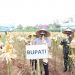 Bupati Zaki Panen Hibrida Dan Lele Di Sindang Jaya