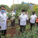 KWT di Kota Tangerang Panen Sayur dan Bagikan Bibit di Tengah Pandemi