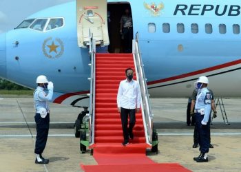 Presiden Akan Tinjau Lumbung Pangan dan Bagikan Banpres Produktif di Kalteng