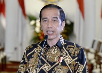 Presiden Apresiasi Pengabdian, Perjuangan, dan Pengorbanan para Dokter