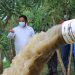 Antisipasi Banjir, Pemkot Tangerang Siapkan Mesin Pompa Air Jumbo