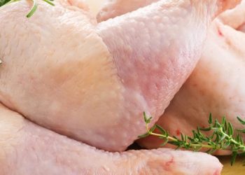 4 Penyakit Akibat Makan Daging Ayam Belum Matang (Plus Ciri-cirinya)