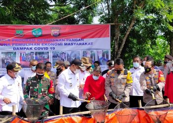 Manfaatkan Lahan Tidur, Panen Raya Jagung dan Lele di Kabupaten Tangerang