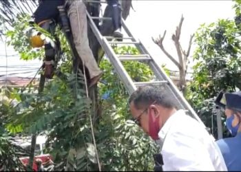 Pria di Tangerang Tewas Kesetrum Saat Tebang Pohon