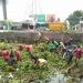 Antisipasi Banjir, DPU Tangsel Bersih-Bersih Enceng Gondok dan Lumpur
