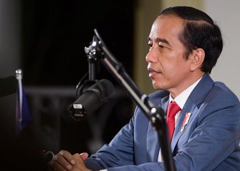 Kemitraan ASEAN dan India Tingkatkan Kerja Sama Kesehatan dan Digital