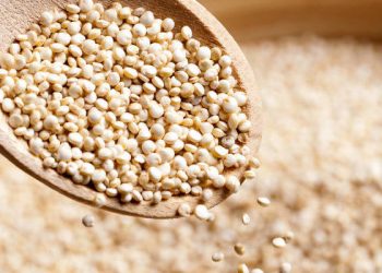 Quinoa, Makanan Super yang Penuh Gizi