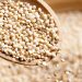 Quinoa, Makanan Super yang Penuh Gizi