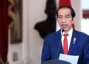 Presiden Jokowi Buka Indonesia Fintech Summit 2020 secara Virtual