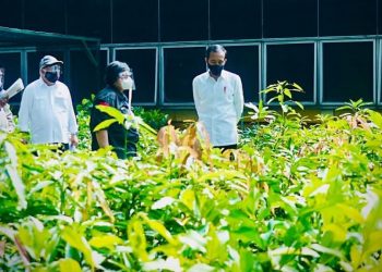 Presiden Tinjau Lokasi Pembangunan Pusat Perbenihan untuk Atasi Bencana Ekologis