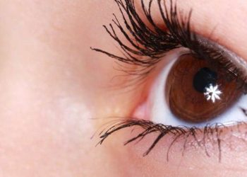 Cara Lentik Bulu Mata Alamai