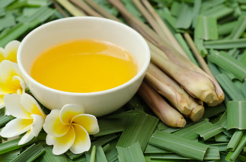 Rekomendasi Obat Radang Gusi yang Ampuh, di Rumah dan di Apotek