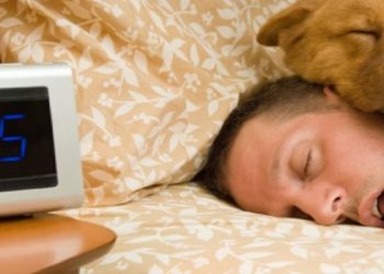 Selalu Mengantuk di Siang Hari? Mungkin Anda Mengidap Hypersomnia