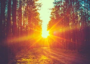 Sinar Matahari Pagi, Siang, dan Sore: Mana yang Paling Sehat?