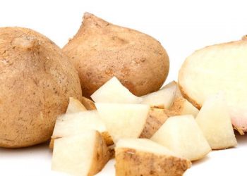 6 Manfaat Bengkoang Bagi Kesehatan