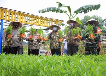Manfaatkan Lahan Tidur, Wakil Walikota Apresiasi Program Ketahanan Pangan Untuk Masyarakat dari Polri dan TNI