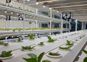 Tunas Farm Garap Pertanian Modern di Gading Serpong