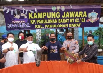 Bantu Ketahananpangan Di Masa Pandemi Covid-19, CSR Binaan PT IKPP Tangerang Sukses Panen Lele 