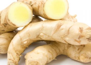 6 Khasiat Kunyit Putih untuk Kesehatan yang Sayang untuk Dilewatkan