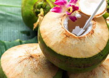 Kelapa Muda vs Kelapa Tua: Beda Umurnya, Beda Pula Manfaatnya Bagi Tubuh