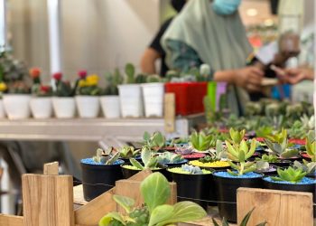 Bertema Green Fortune, Pengunjung Tangcity Mall Dimanjakan Kebutuhan Urban Farming