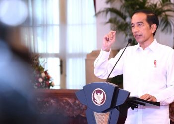 Peluang Besar Ekonomi Hijau dan Digital bagi Indonesia