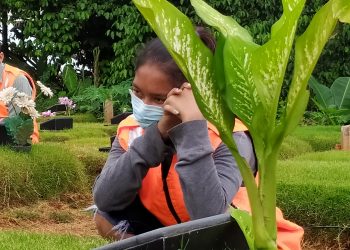 Dibawa ke TPU Khusus Covid-19, Pelanggar Prokes Berdoa Selama Satu Jam