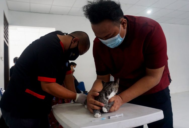 Pemeriksaan hewan untuk antisipasi rabies. (KEY)