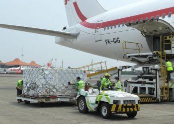Bahan Baku Vaksin Sinovac dan Vaksin Siap Pakai Sinopharm Tiba di Indonesia