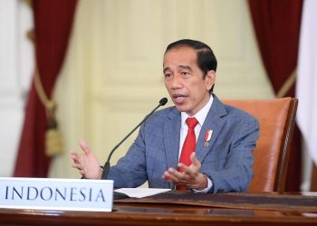 Presiden Jokowi Sampaikan Tiga Pandangan pada KTT Perubahan Iklim
