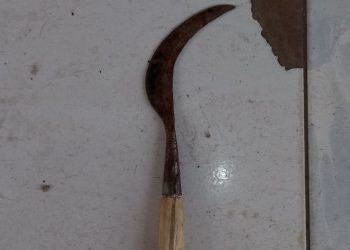 Tiga Pelaku Pengeroyokan di Rajeg Didor Polisi