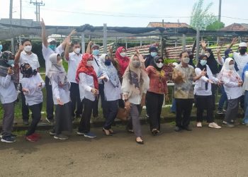 Pelatihan Hidroponik PT Indah Kiat Tangerang Diikuti Puluhan Peserta