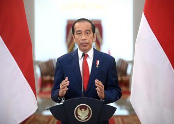 Empat Pandangan Presiden Jokowi Terkait SDGs pada Forum Tingkat Tinggi Dewan Ekonomi Sosial PBB