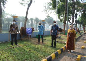 Salurkan Hewan Kurban untuk Masyarakat, HERO Grup Berbagi Kebahagian