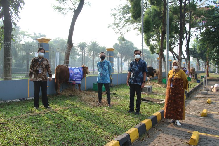 Penyerahan hewan kurban dari Managemen HERO Group untuk masyarakat. (RAY)
