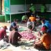 Masjid Ar Rahmah Tajur Halang Salurkan 15 Sapi dan 6 Kambing